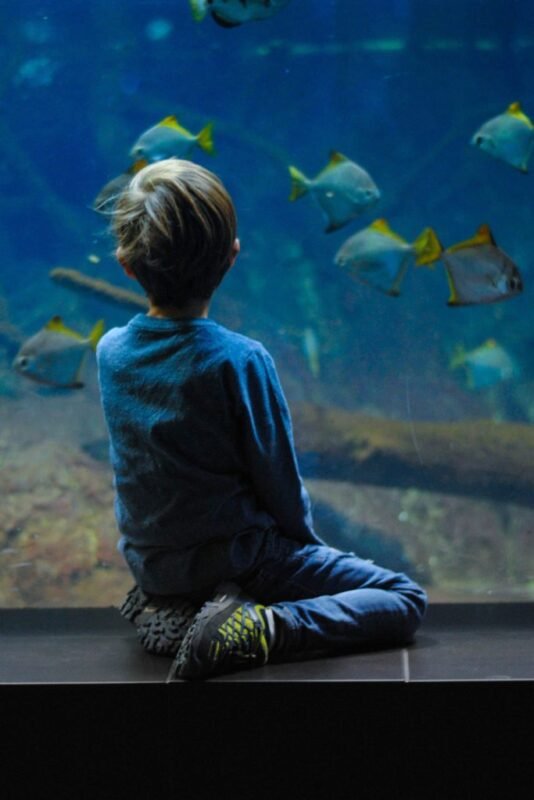 Two-Oceans-Aquarium-001-683x1024