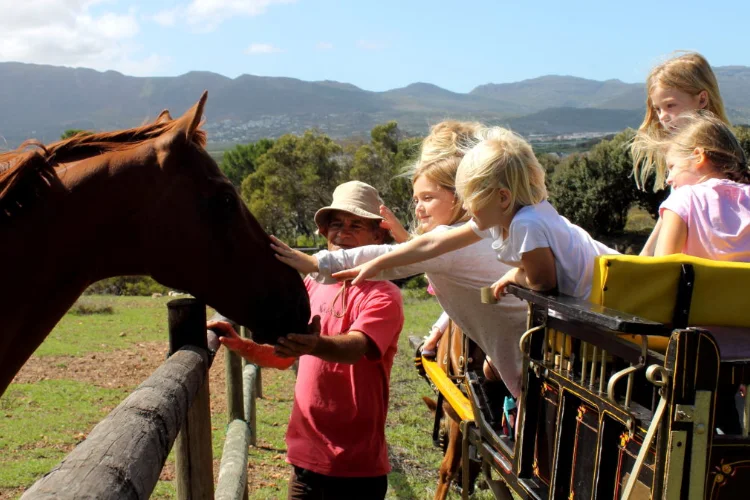 higgeldy-piggeldy-things-to-do-with-kids