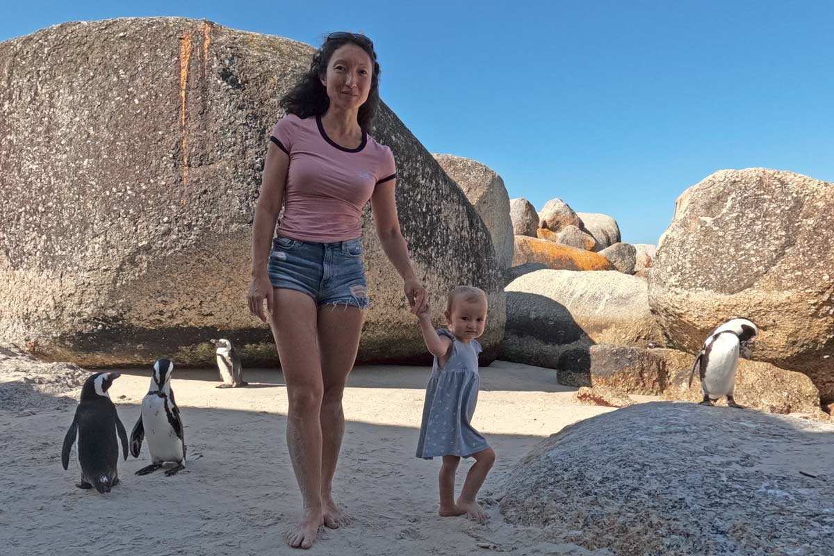 penguins-boulders-beach-interaction